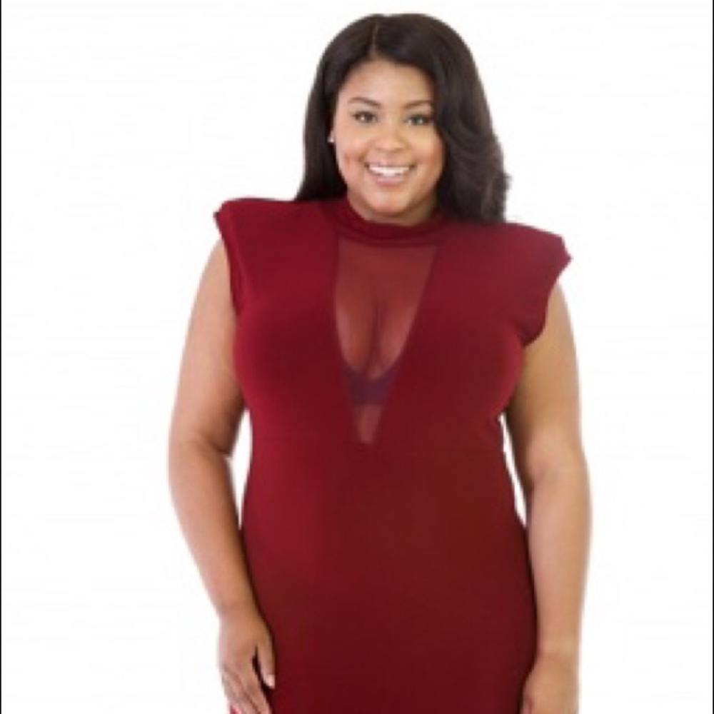 Maroon Sheer Panel Fitted Dress